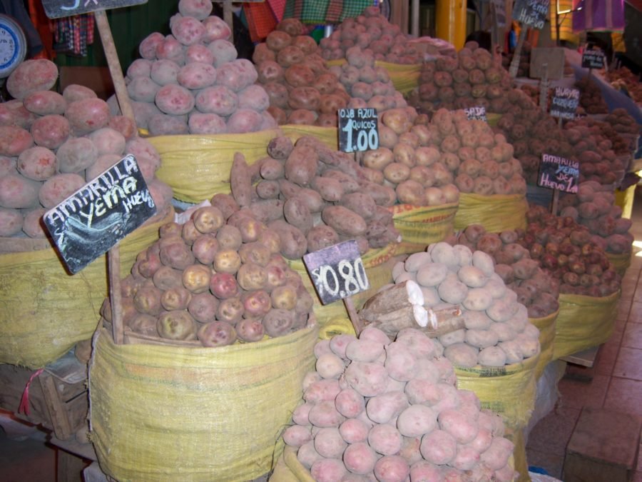 marché de pommes de terre