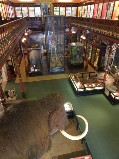 musée à Ipswich