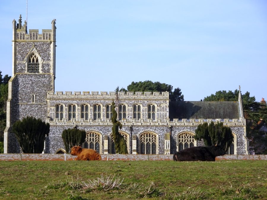 vaches église