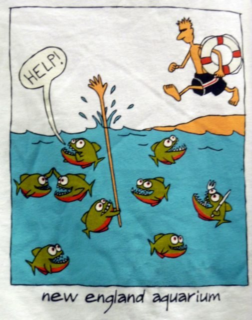 T-shirt drôle